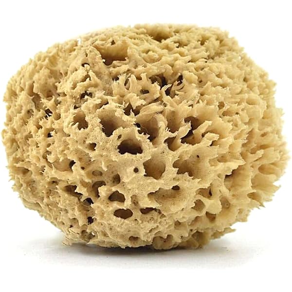 Babyschwamm Silk Von Kosmetex – Naturschwamm, Levantiner Qualität, 10 Cm, Aus Dem Mittelmeer