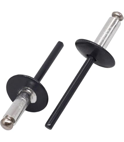 BESTYCHAO 50 stuks aluminium blinde klinknagels met grote flens 4,8 mm x 20 mm, pak van 50 (zilver
