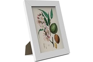 MH Traders White A5 Picture Frame - Freestanding and Wall Mounted Photo Frame for Pictures Posters & Certificates - 15 x 21 CM A5 Size Compact Picture Frames