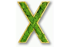 ‎MOOSLY Moosly® Moosbild - X - mit Rahmen aus Holz, Moos Deko Buchstaben Zeichen Symbol Zahl Holzbuchstabe mit echtem Islandmoos Wandtattoo Wandsticker Wandbild selbstklebend Wohnzimmer (125 X)