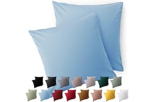 Blumtal Federe Cuscini Divano 50x50 cm - Set di Copricuscini per Divani in Microfibra a 2 Pezzi con Chiusura a Zip, certificati Oeko-Tex, extra morbidi e lavabili - Azzuro Chiaro