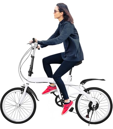 Setup Dahon Touring Dahon Folding Bike Dahon Dahon Ariner D8