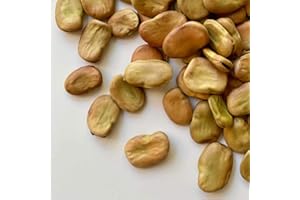 IL CONTADINO - ANTICHI SAPORI FAVE INTERE ITALIA | Il Contadino | Legumi Secchi (5 Kg)