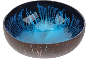 Housoutil Natural Coconut Shell Bowl Unique Decorative Storage Bowl for Keys Nuts and Candies - Creative Eco-Friendly Design for Home and Office