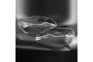 SZSS-CAR Scheinwerfer Scheinwerfer Clear Lens Kunststoff Shell Cover Ersatz für Mercedes-Benz S Serie W220 S600 S500 S320 S350 S280 1998 ~ 2005