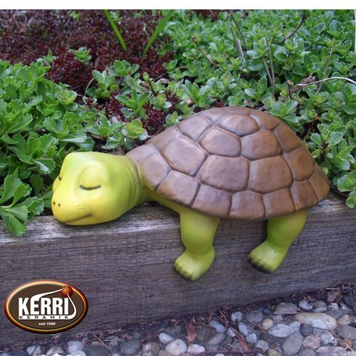Schildkröte Kantenhocker wetterfest
