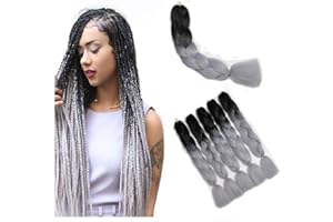 ShowJarlly 5 Piezas Kanekalon Extensiones Pelo Africanas Trenzas, 24" Sintetico Pelo Trenzas Africanas Extensiones de Trenzado de Cabello Para Ganchillo Trenzado de Extensiones Negro/plateado