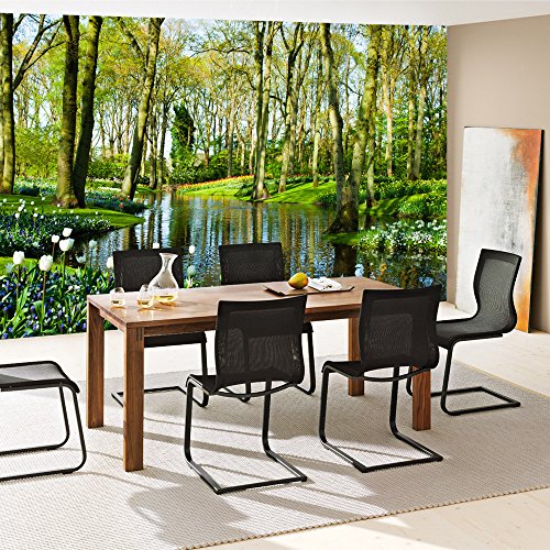 Vlies Fototapete 350×245 cm – Top ! PREMIUM PLUS Foto Tapete ! Wandbilder XXL Wandbild Bild Fototapeten Tapeten Wandtapete Wanddeko Wand Wald Bäume Natur – no. 256 - 7