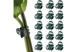 VIOJRLLY 100 x Morsetti per Piante Orchid Clip, 1,5 cm Verde Scuro Morsetti per Piante Orchid Clip in plastica per sostenere e Fissare Le Piante