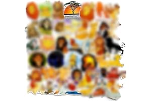 Miotlsy 50 Pc Dibujos Animados Rey león Pegatinas Pegatinas de Moda para Ordenador portátil Pegatinas de patineta Pegatina de Anime de Dibujos Animados Pegatinas para Maletas de Equipaje