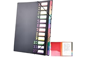 Delamiya Teczka na dokumenty A4, przenośna teczka z 12 przegródkami, tworzywo sztuczne PP, teczka na dokumenty z gumką, wodoszczelna, do szkoły, na artykuły biurowe