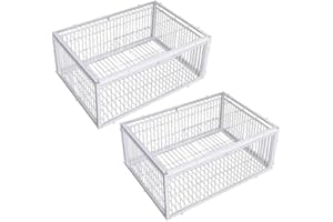 BBASILIYSD Gabbia per Piccioni Portatile con Design a Prova di Fuga, Fessura di Fuga Facile da Montare per Gabbia Esterna