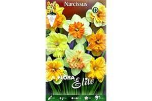 PRGA BULBI AUTUNNALI NARCISO SPLIT CORONA MIX DI COLORI CONFEZIONE DA 5 BULBI BULBS BULBES