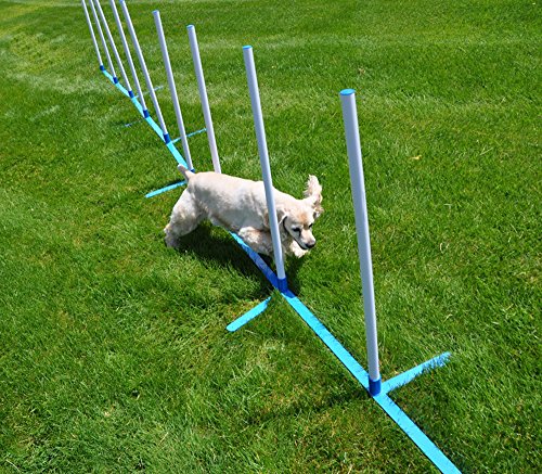 Agility-Weave-Poles-Adjustable-6-Pole-Set-with-Carrying-Case-and-Grass-Stakes
