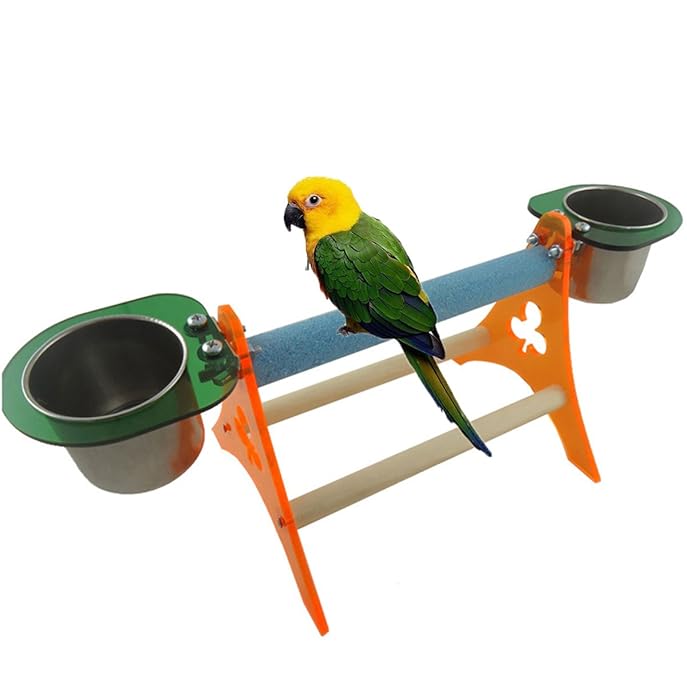 Budgerigar Program 6.0 - Download Free Apps Budgerigar Program 6.0 - Download Free Apps