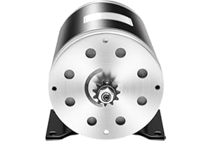 awolsrgiop 36V 1000W Elektromotor, 3000RPM Gokart mit Motor DC Motor Bürstenmotor Rated Speed Brushless Motor | Chain Drive 25H-11T | MY1020 Type