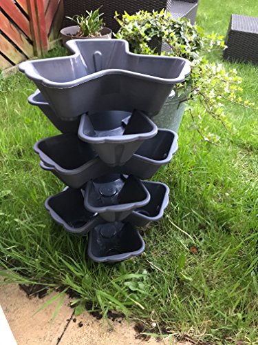 MD MUZ New 6 x Terracotta Brown Trio Stacking Planter Strawberry Flower Herb Stackable Garden Plant Pot