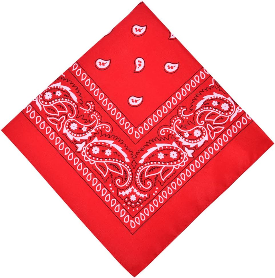 AOMIG Foulard carré, Classique Bandanas Foulard avec Motif cachemire fichu bandanas, Bandanas Fichu Foulard carré, Rétro Style Multicolore Multifonction pour Homme et Femme, 55 * 55cm