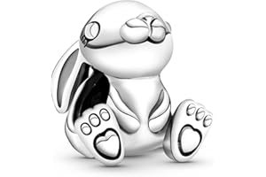 Ruaidhra Sterling Silber Charms Anhänger,Kreuz Herz Blumen Kleeblatt Schildkröte Tier Charms für Armband Halskette,Vielfältig Charm Clip Stopper Bead Charms für Damen