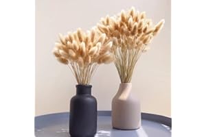 SONGJUM 120Pezzi Bunny Tails Bouquet Coda Di Coniglio Naturale Bouquet Di Fiori Secchi Di Erba Di Pampa per Fiori Secchi Decorazione Camino Casa Cucina Chiesa Tavolo Decorazione Boho Nozze Decor（Naturale）