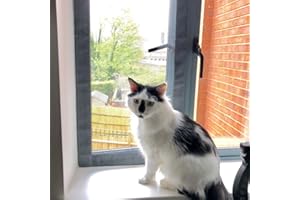 Flat Cats window screens - Single Pack - Selection of sizes (60cm x 110cm, Grey Mesh/White Fixings)