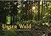 Produktbild Unser Wald - Magische Sichten in norddeutsche Wälder/Geburtstagskalender (Wandkalender 2019 DIN A2 quer)