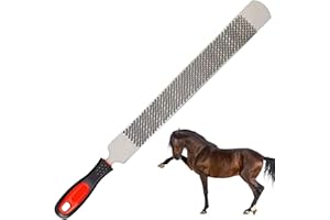 GBKDQQ Râpe à sabots de 20,32 cm pour chevaux, en acier au carbone, double face avec poignée, tête ronde, outil de râpe à sabots pour chevaux, soin des sabots pour chevaux