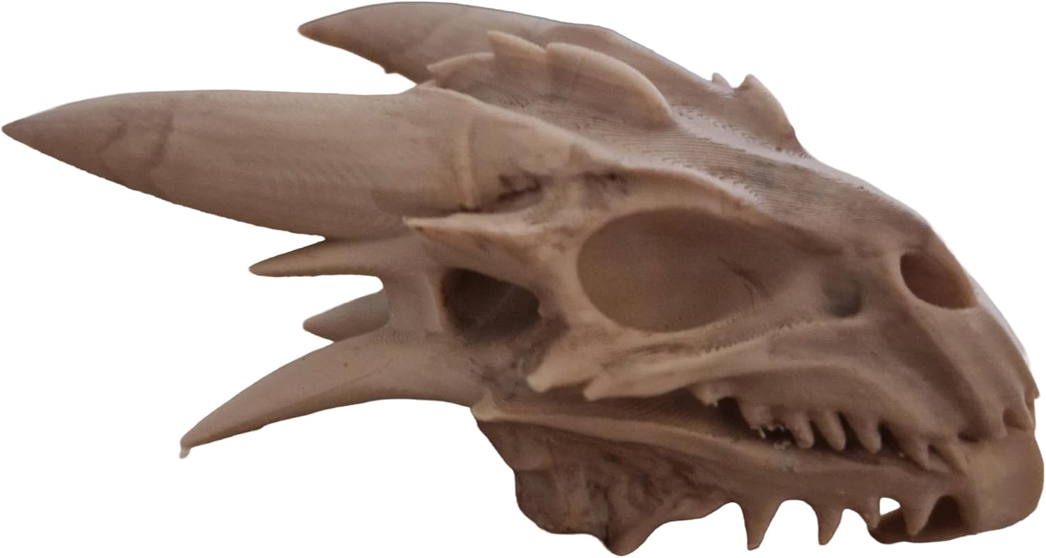Faut-il Acheter le Générique Figurine Crâne de Dragon Miniature (Sélection) ? Notre Avis
