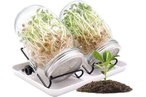 Jooheli Barattolo Germogliatore In Vetro, Set di 2 barattoli per germogli in vetro coperchio e supporto, 2 x 750ml Barattoli Germinazione con Vaschette di Germinazione per broccoli, germogli e semi