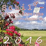 Image de Schild-Bürger-Streiche 2016