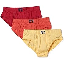 Buy U.S. POLO ASSN. Boys Mid Rise Pure Cotton EKB02 Briefs - Pack