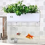 Fishplant Family Total Care Unit Amazon Co Uk Garden Outdoors