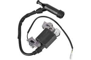 FAFEICY Bobina di Accensione Sostitutiva per Generatore a Benzina Compatibile con Modelli GX160 GX140 GX120 - Modulo Adatto e Parti del Generatore di Ricambio