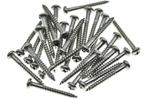 Dopro Paquete de 30 tornillos de montaje para puente de trémolo de guitarra de acero inoxidable Phillips Head Vintage FD Stratocaster
