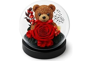 Gdecora Rosa Eterna Natural Preservada, Rosa Preservada con Oso, Ramo Flores en Cúpula de Cristal, Sant Jordi Regalos Mujer Mama, Regalo Dia de la Madre