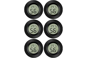 6 PCS - B