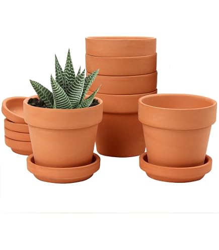Vaso Terracotta, 10 Pezzi 8Cm Vasetti Terracotta Piccoli, Vasi in