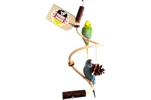 Vogelgaleria® handgemachtes Wellensittich Spielzeug | Kletterspirale mit Natur Knabberringen für Vögel | Gesundes Wellensittich Zubehör für den Vogelkäfig oder Voliere