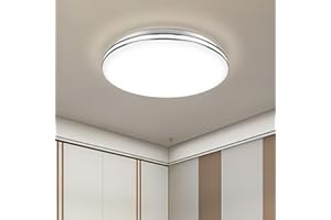 VIPMOON 12W Small LED Ceiling Light 6500K Cool White Flush Mount Ceiling Lamp Silver-Rimmed Round Ceiling Lights for Badroom Kitchen Living Room Garage Hallway Porch Cabinet Office