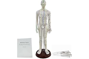 KDJFS 1/3 Punti di Agopuntura Manichino, 52cm Manichino Esercitazione Agopuntura con Le Istruzioni per la Localizzazione dei Punti di Agopuntura, Utilizzato per la Pratica di Inserimento dell'ago