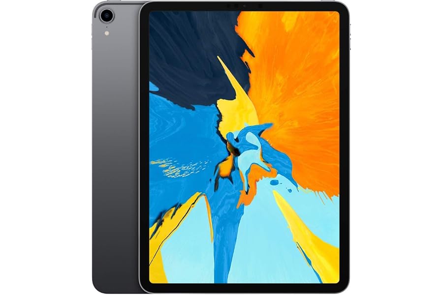 Apple iPad Pro 11 256GB Wi-Fi - Space Grau (Generalüberholt)