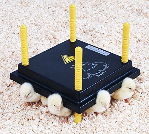 Küken-Wärmeplatte Comfort 25x25cm – 15 Watt, Heizplatte, Heizmatte, Kükenwärmer, Heizkabel, Inkubator, Kunstglucke, Wärmebirne - 2