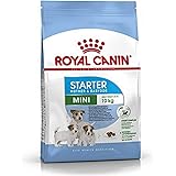 dogrook collar instructions