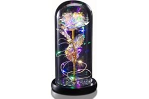 TECHSHARE Gifts for Her, Forever Flower Rose in Glass Dome, Rose Light Up Flower, Personalized Gifts for Mom, Sisters, Friend, Women, Valentine's Day, Birthday, Wedding