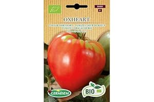 Germisem Bio Graines Tomate Cœur de Bœuf OXHEART