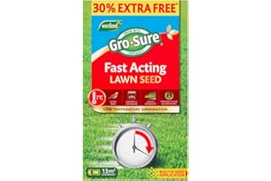Westland Horticulture 20500299 GRO-Sure Fast Acting Lawn Seed 10m2 + 30% Extra (13m2)