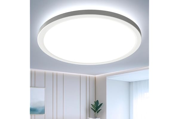 EASY EAGLE Plafonnier LED, Luminaire Plafonnier 6500K, Lampe de Plafond LED Moderne Salle Blanc, Imperméable IP44, Ø 22CM, Applicable à Salle de Bain, Chambre, Cuisine, Salon, Balcon