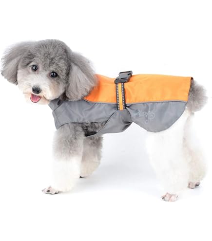 Jeggo Hundemantel Allwetter - Regenjacke Für Hunde XXS-XXL