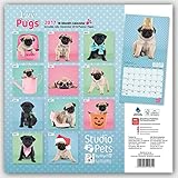 Image de Luv Pugs - Möpse 2017 - 18-Monatskalender: Original Myrna-Kalender [Mehrsprachig] [Kalender]