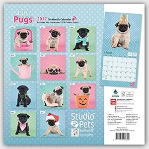 Luv Pugs - Möpse 2017 - 18-Monatskalender: Original Myrna-Kalender [Mehrsprachig] [Kalender]